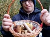 Grzybobranie